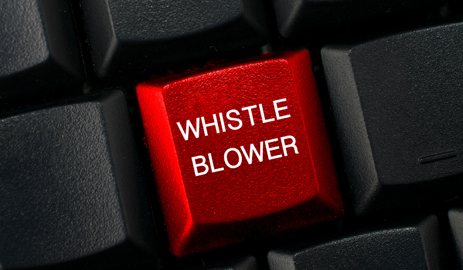 Strengthening Transparency: The Role of Whistleblower Reporting Systems ...